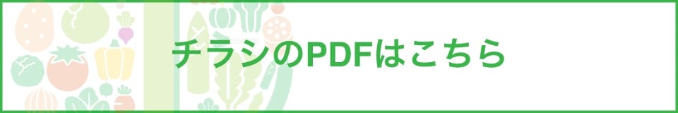 チラシのPDFはこちら